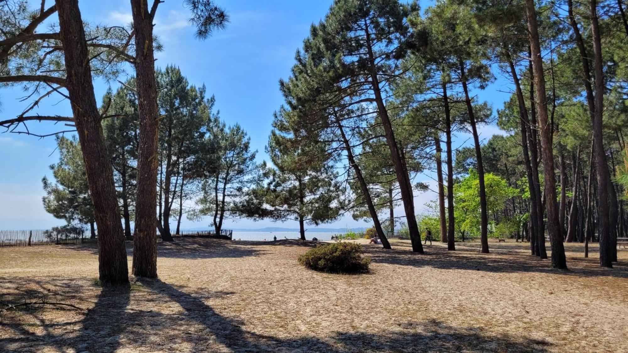Camping ארס מראה חיצוני תמונה